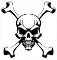 Skull vector image