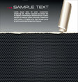 Ripped paper on metal grill vector image