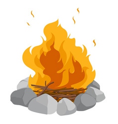 Campfire vector image