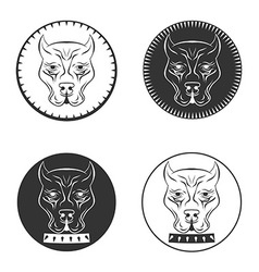 Set Pit bull terrier logo Dod face with collar vector image