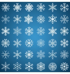 Set of snowflakes vector image