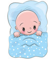 Cute cartoon sleeping baby vector image
