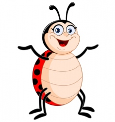 Lady bug vector image