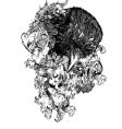 Floral crow illustration vector image