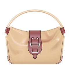 Handbag vector image