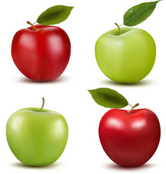 Set of red and green apple fruits with cut and vector image