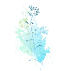 Sketch of flowers vector image