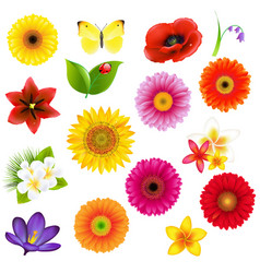 C lorful big flowers andleaf set with gradient vector image