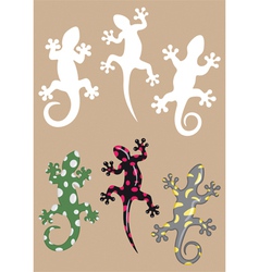 Gecko vector image