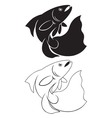 Aquarium fish vector image