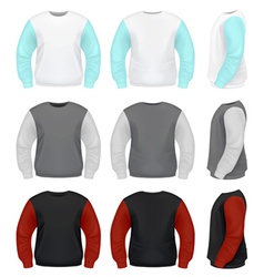 Men Sweater vector image
