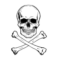 Blackwhite human skull and crossbones vector image