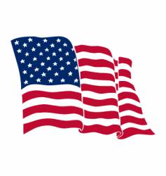 American flag vector image