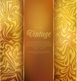 Gold vintage background vector image