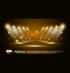 Magic spotlights vector image