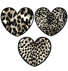 Heart with animal skin vector image
