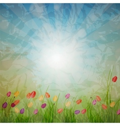 Summer Abstract Background with grass and tulips vector image