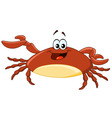 Crab vector image