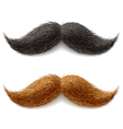 Fake mustaches vector image