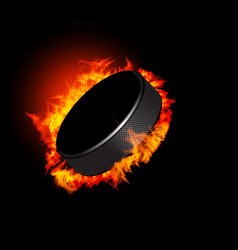 Hockey puck vector image