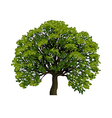 Big green tree symbol vector image