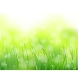 Morning sunlight grass vector image