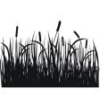 Grass silhouette vector image