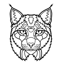 Wildcat lynx mascot head isolated sketch line art Wildcat lynx mascot head isolated sketch line art vector image
