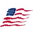 American flag vector image