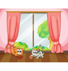 Cats playing with wool vector image