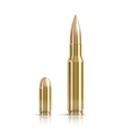 Ammunition bullets on white vector image