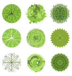 Trees top view vector image
