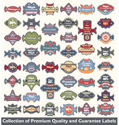 Premium quality and guarantee label collection vector image
