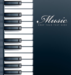 Piano keys background vector image