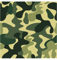 Camouflage pattern vector image