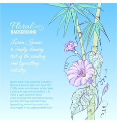 Bindweed flower and bamboo vector image