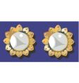 Ornaments vector image