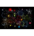 Fireworks holiday night vector image
