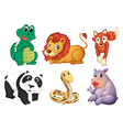 Six different kinds of animals vector image