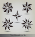 Set stars polyhedron for graphic design vector image
