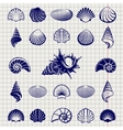 Sketch of sea shells vector image