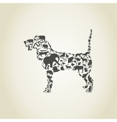Dog an animal vector image