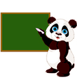 Panda writing on blackboard vector image