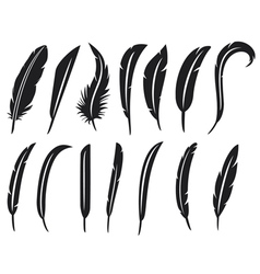 Collection of feathers - feather collection vector image