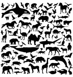 Animals vector image