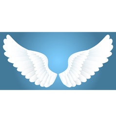 White wings vector image