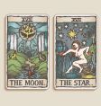Tarot cards vector image