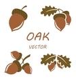 Flat oak icons set vector image