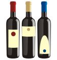Wine bottles set vector image