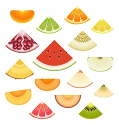 Fruit Wedge Set vector image